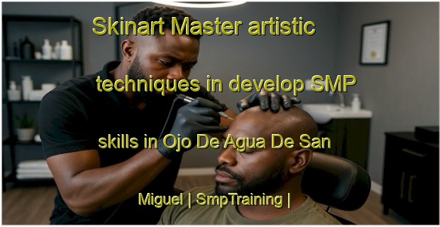Skinart Master artistic techniques in develop SMP skills in Ojo De Agua De San Miguel | SmpTraining | SmpClasses | SkinartTraining-Mexico